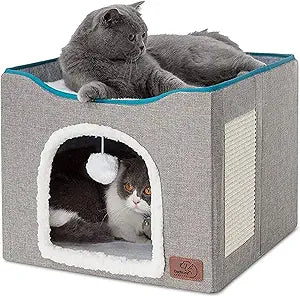 Cat House