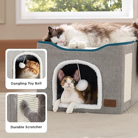 Cat House